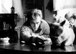 pierppasolini:  James Dean and Paul Newman photographed by Sanford