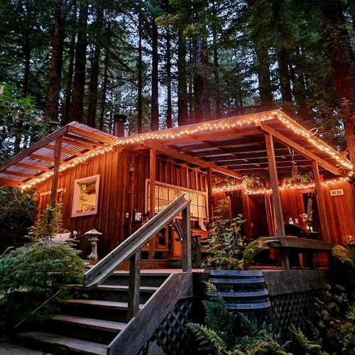 utwo:  Cabin  Redwoods Occidental, California© suzacruuz