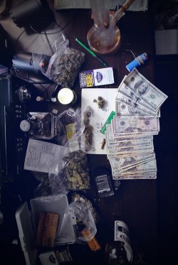 Into A Stoner's Mind!