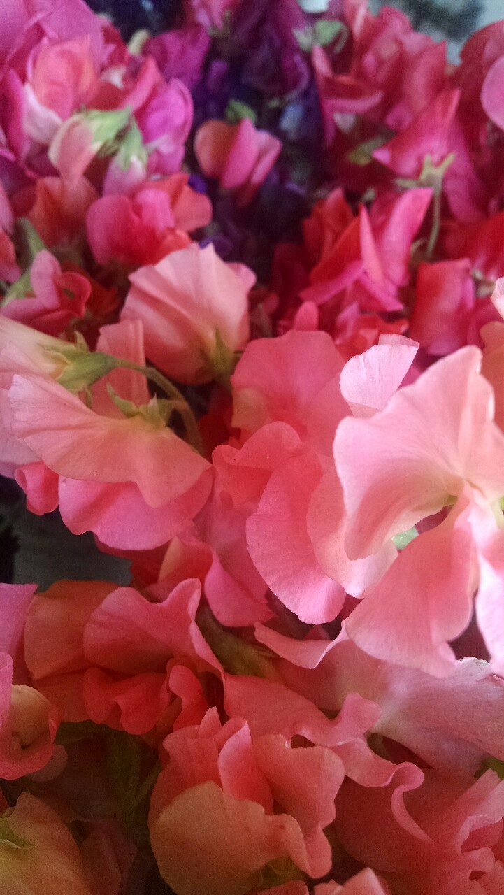 tumblr photo