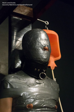 tapedandtortured:Taped tightly to a chair, unaware of what is