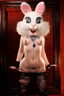 laudanumandabsinthe:You’re going to leave the bunny head on,