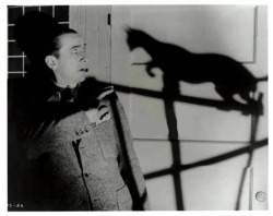universalmonsterstribute:  The Black Cat (1934)