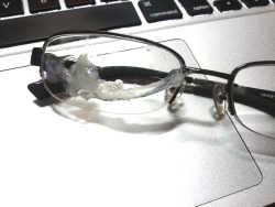 drowsystar:  something got into my glasses… 