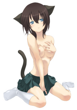 nocatgirlsnsfw:  No Catgirls Here NSFW Artist: Hisashi (nekoman)