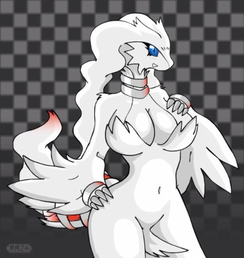 pokeporn:  Reshiramâ€™s sexy body :3 