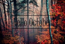 beautifvlmessx:October 🕷🍂🍁🎃🕸🌚🍭🍫☕️Yaaaasssss