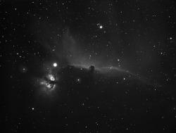 just–space:  Horsehead and Flame in Hydrogen Alpha  js