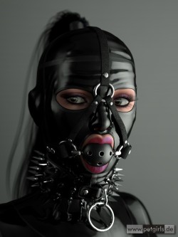 Super fucking hot!  Although no spicked collar.. And that gag