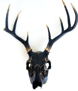 oolasha:  Black Gold Leaf Deer Skull Wall Decor Art OOAK 