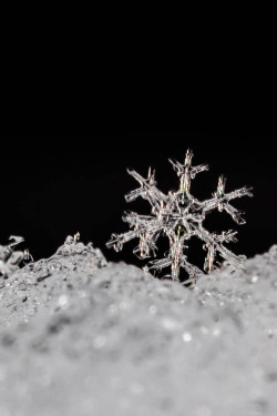 ponderation:  Snowflake by   Rafael George   