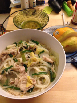 Still feeling nauseous, so I tried a udon recipe that my bro