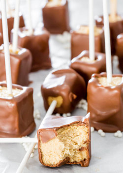 food–archives:  Chocolate Peanut Butter Cheesecake Pops. 