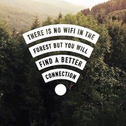 I need a good hike to recharge. 🌲🍃 #muchneedhikingfriends