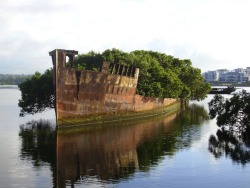 cjwho:  102-Year-Old Abandoned Ship is a Floating Forest / Image