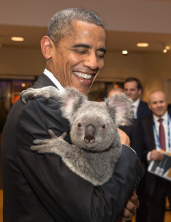 whitehouse:  Sharing a koalaty moment in Australia. 