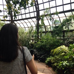 pocketpetal:  we went to  green house