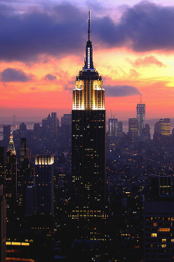 worldfam0us:  Empire State of Mind | WF 