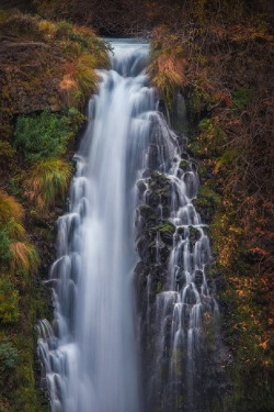 sublim-ature:  Burney Falls, CaliforniaMichael Shainblum 