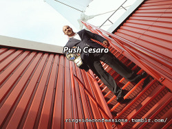 lynestra:  ringsideconfessions: “Push Cesaro”  excuse me