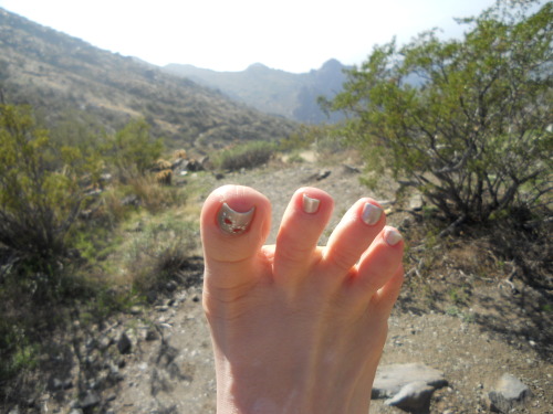 Hiking this morning in the McDowell Sonoran Preserve.Â  Any locals see my out there?