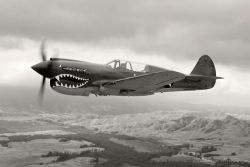 aviationgeek71:P-40