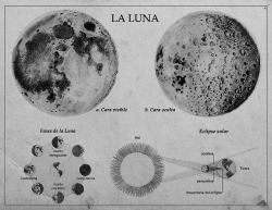 chaosophia218:  Vintage scientific illustration of the Moon.