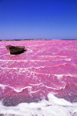 condenasttraveler:  Natural Wonders | Lac Rose, Senegal 