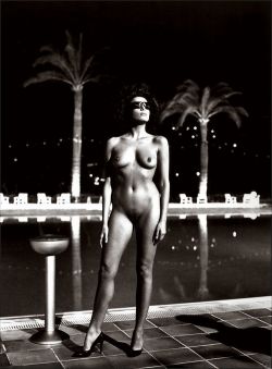 anothergentlemanloser:  anothergentlemanloser unknown@helmut newton 