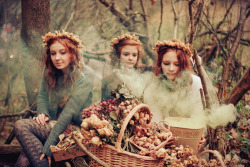 Of Faeries and Fawns