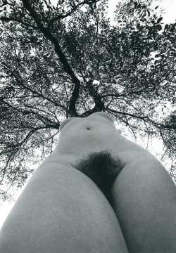 last-picture-show: Lucien Clergue 