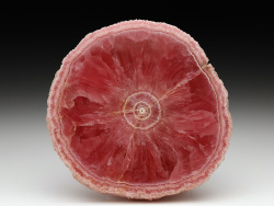 bijoux-et-mineraux:  Polished Rhodochrosite Stalactite Slice