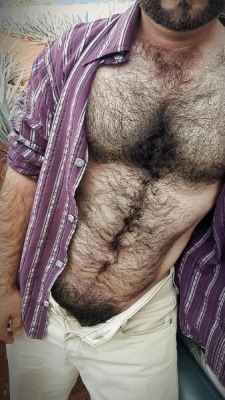 huscularfur:Beautiful hairy chest trailing down to a jungle-thick