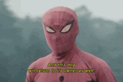 gameraboy:  “Spider-Man found it hard to part with the dog