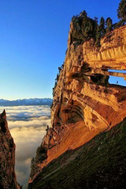 bluepueblo:  Chartreuse Mountains, France photo via angel 