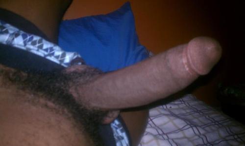 tumblr photo churchofthebigblackpenis 0