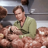 trekgate:  “Close that door” How to react when a tribble