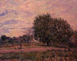wonderingaboutitall:  Walnut Trees, Sunset - Early Days Of October