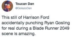 theotheristhedoctor:  jooshbag:   Harrison Ford: oh shit oh shit