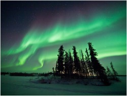 Night sky symphony (Aurora Borealis)