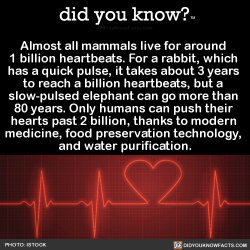 did-you-kno:  Almost all mammals live for around  1 billion heartbeats.