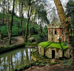 sweetestesthome:  Not a tree house, but a very cool and old house