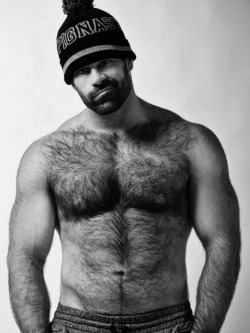 hairytreasurechests:  If you also like hairy and older men who