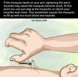 9gag:  Awesome Technique: Avoid Mosquito Bites 