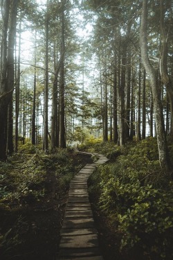 alecsgrg:  Boardwalk to the ocean | ( by Dylan Kato ) 