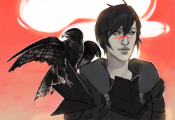 drawingllamas:  there’s a hawk on your hawke