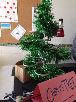 time-lord-from-hogwarts:  We have a Chemistree in our class