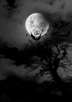 Bat Skulls.