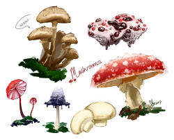 Fungi