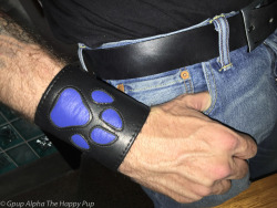 My new leather pup gauntlet arrived safe and sound: Click for